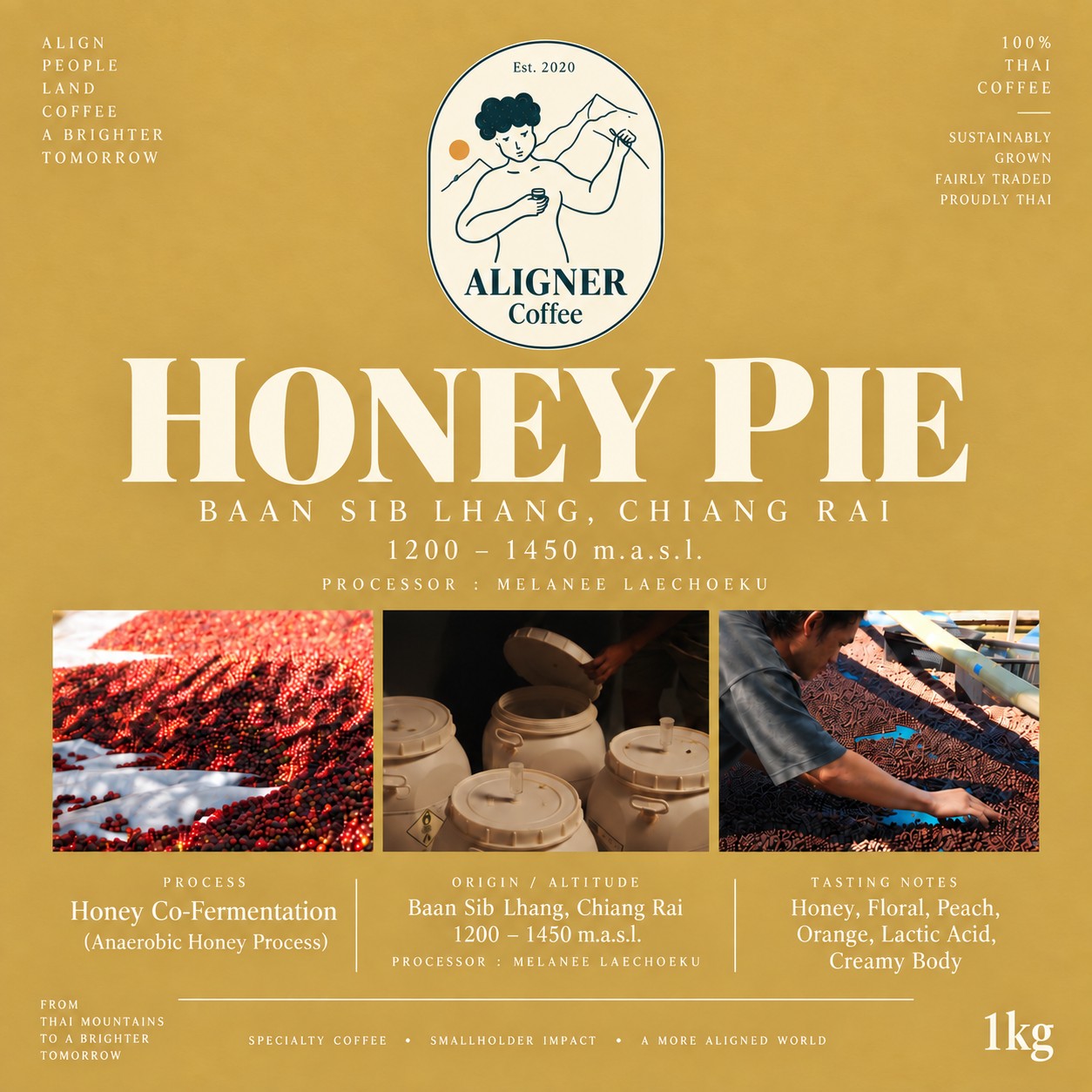 Honey Pie — green coffee beans from Baan Sib Lhang, Chiang Rai