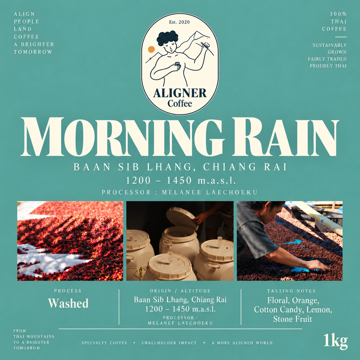Morning Rain