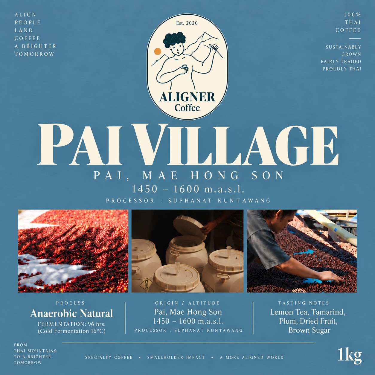 Pai Village — green coffee beans from Pai, Mae Hong Son