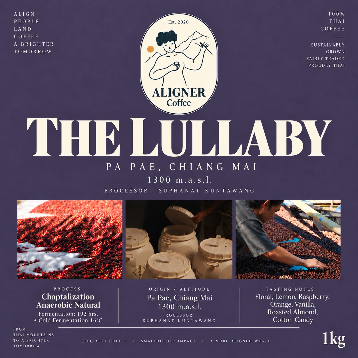 The Lullaby