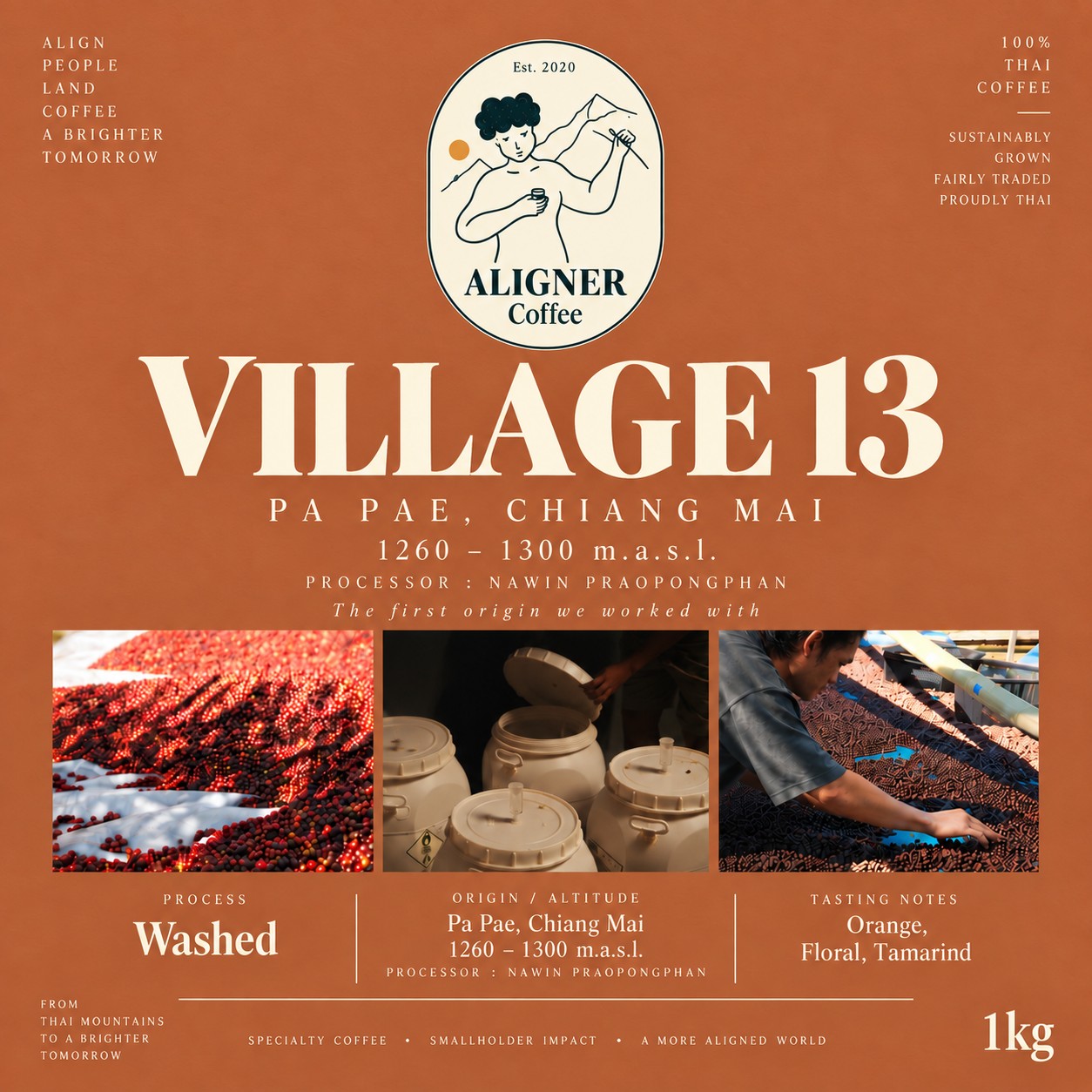 Village 13