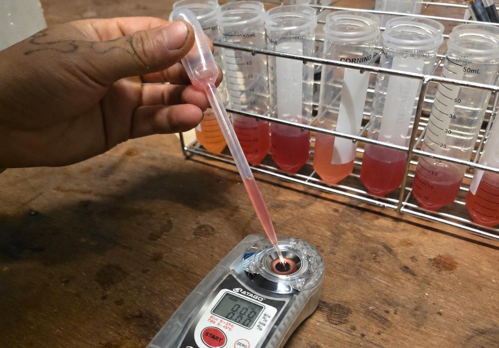 Measuring a fermentation sample by hand