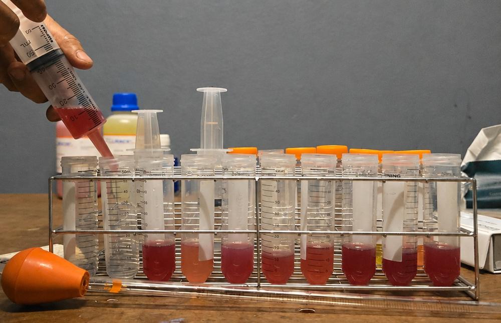 Sampling fermentation liquid into test tubes for tracking