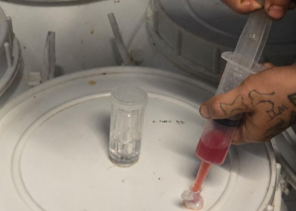 Drawing a sample from a fermentation tank