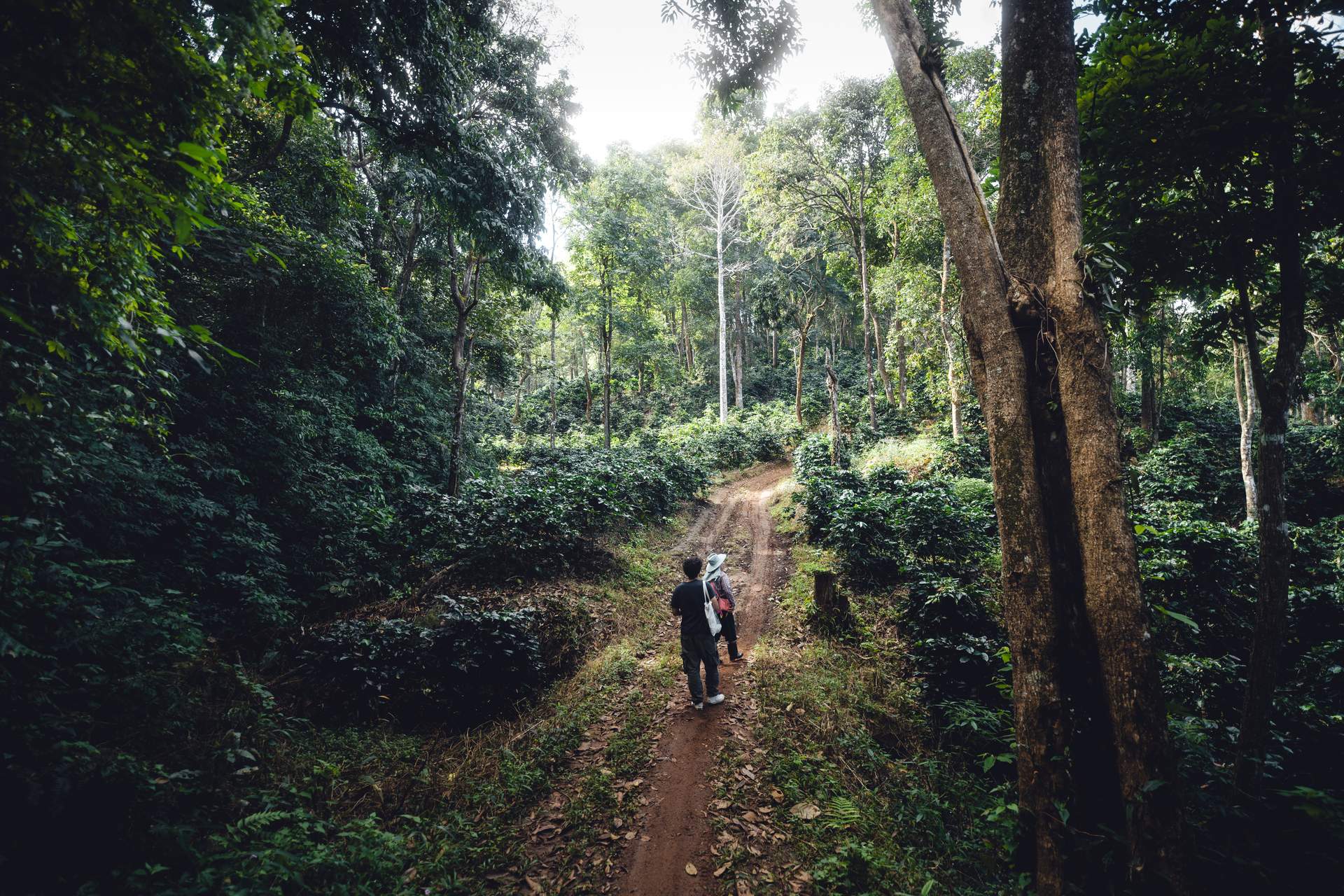 Walking the farm paths with the growers we work with